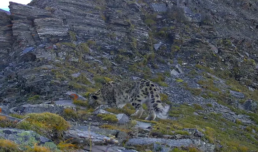 1714117072711771.png 1.png