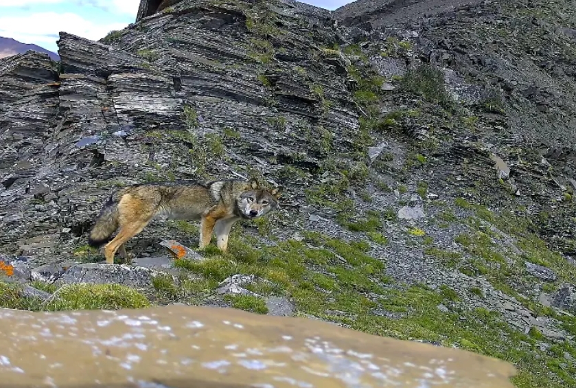 1714117088409713.png 2.png