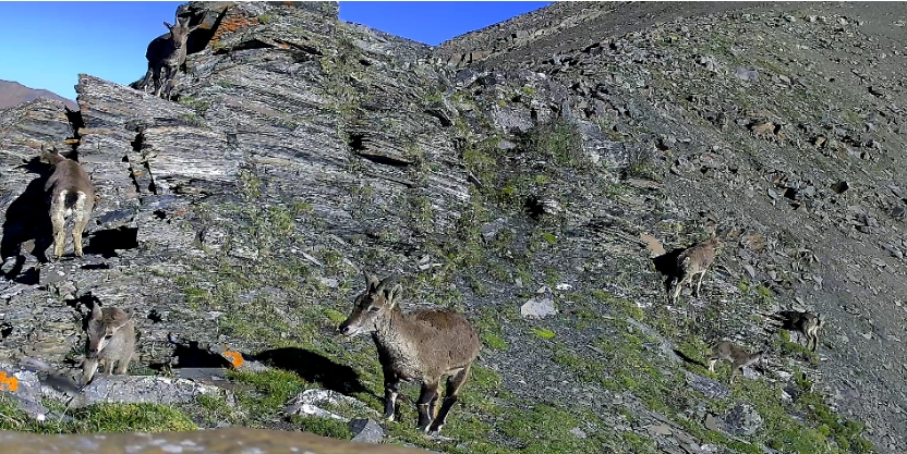 1714117096776944.png 3.png