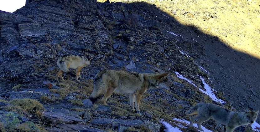 1714117113830580.png 4.png