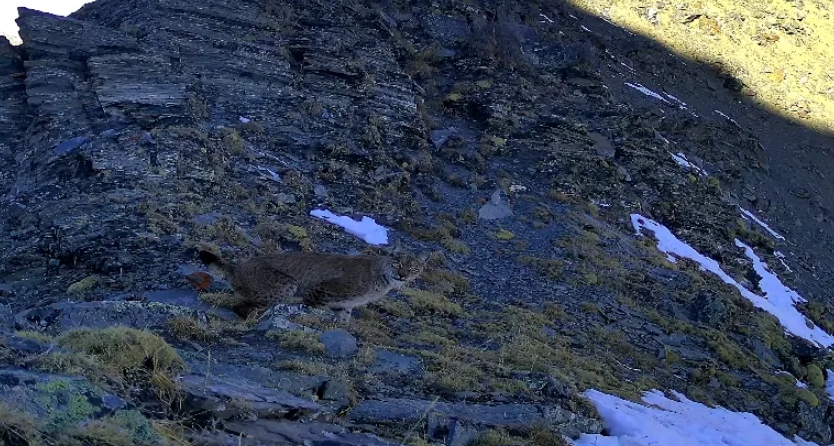 1714117122813671.png 5.png