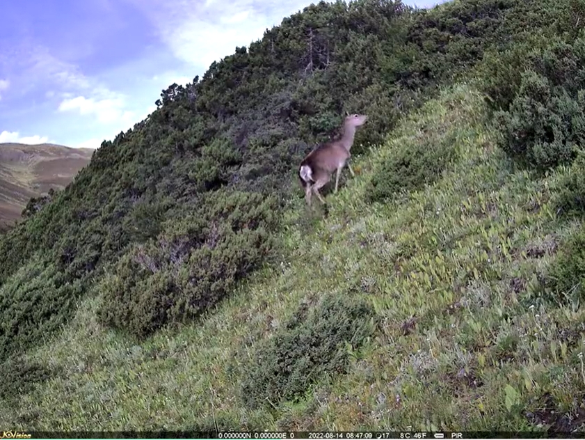 1714117351658120.png 1.png