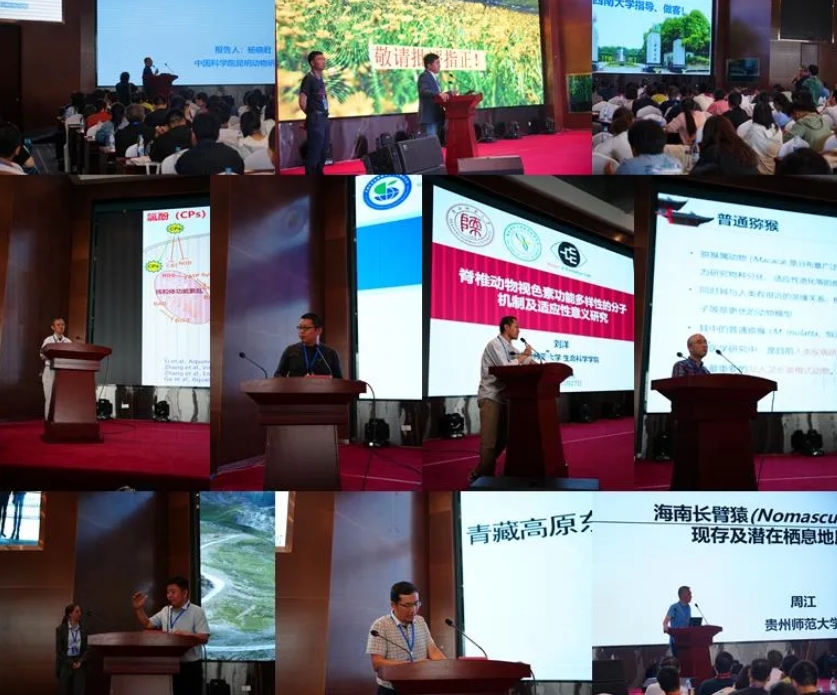 1714121959128284.png 2.png