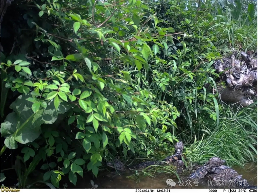 1715128152928284.png 微信截圖_20240508082525.png