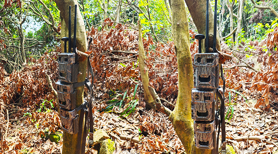 1715664754190217.jpg 2.jpg