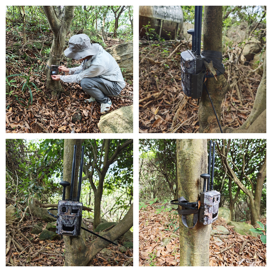 1715664777274923.jpg 5.jpg