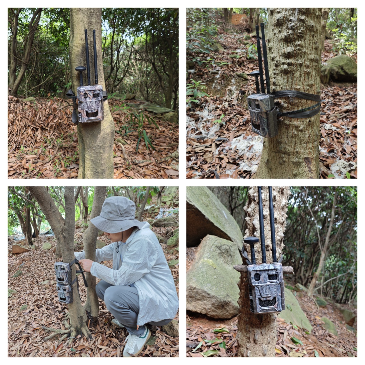 1715664786287317.jpg 6.jpg