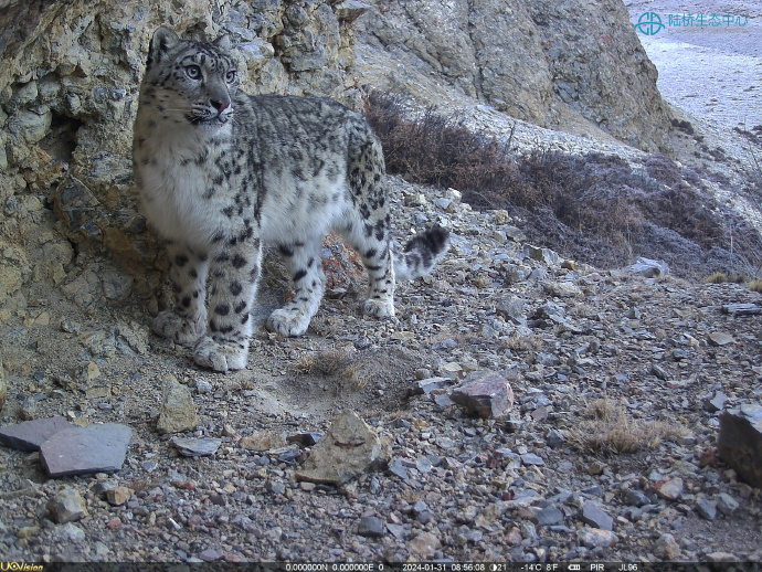 1716182931304937.jpg 0081YQcSly1hnzm42eozuj33k02o0b2f.jpg