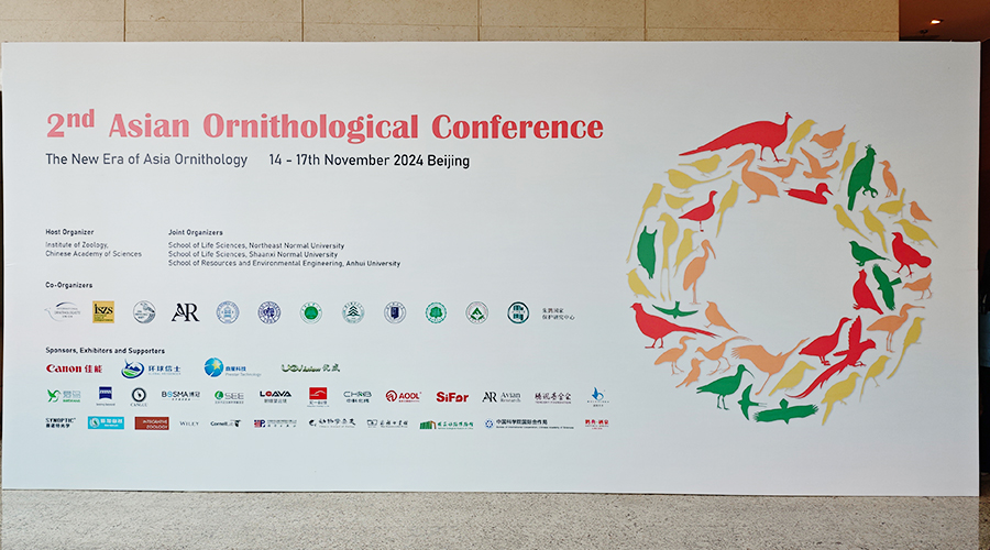 1732605798899792.jpg 未標(biāo)題-2.jpg