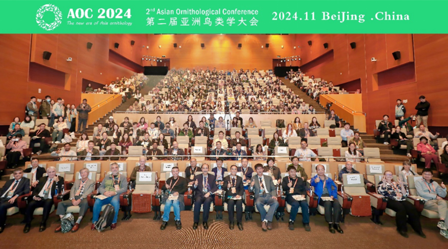 1732605812218366.jpg 未標(biāo)題-1.jpg