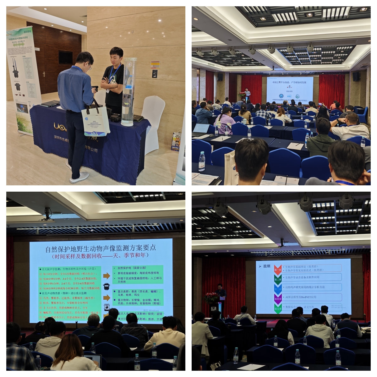 1732606260325041.jpg 8.jpg