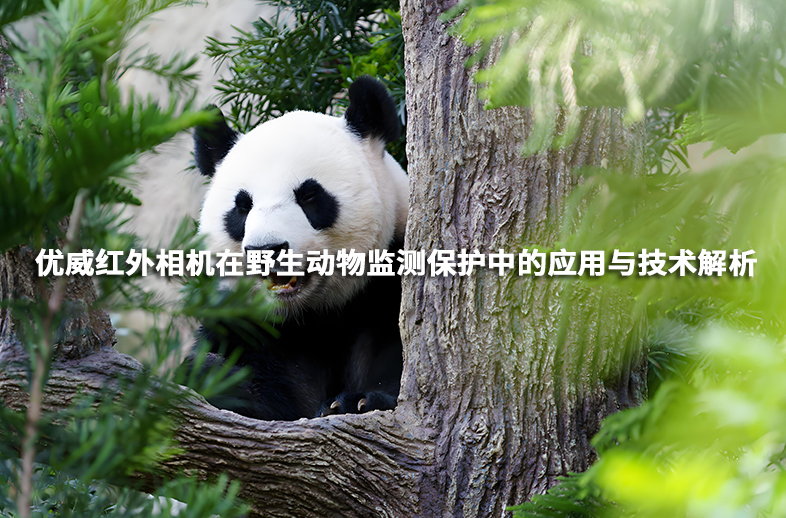 優(yōu)威紅外相機(jī)在野生動(dòng)物監(jiān)測(cè)保護(hù)中的應(yīng)用與技術(shù)解析