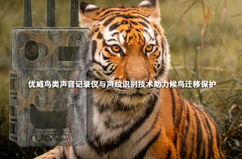 優(yōu)威鳥類聲音記錄儀與聲紋識(shí)別技術(shù)助力候鳥遷移保護(hù)