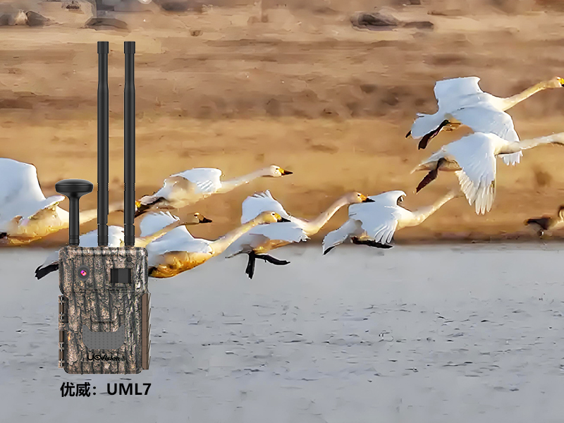 1741241755577571.jpg 未標(biāo)題-1.jpg