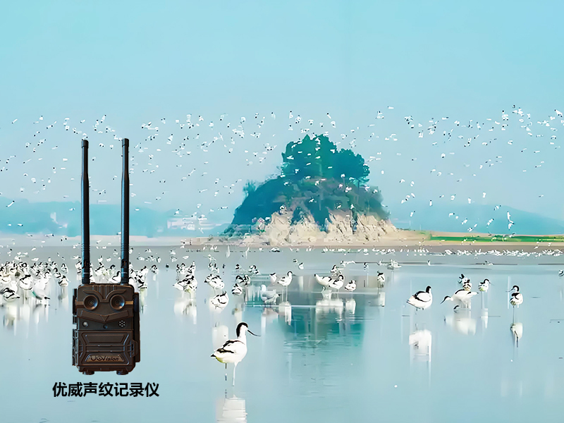 1741241767999584.jpg 未標(biāo)題-2.jpg