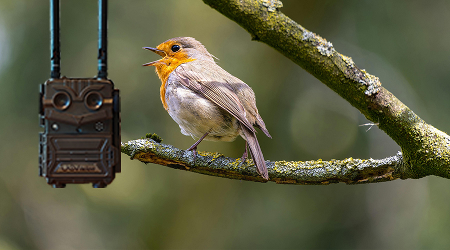 1741579080370494.jpg 未標(biāo)題-3.jpg