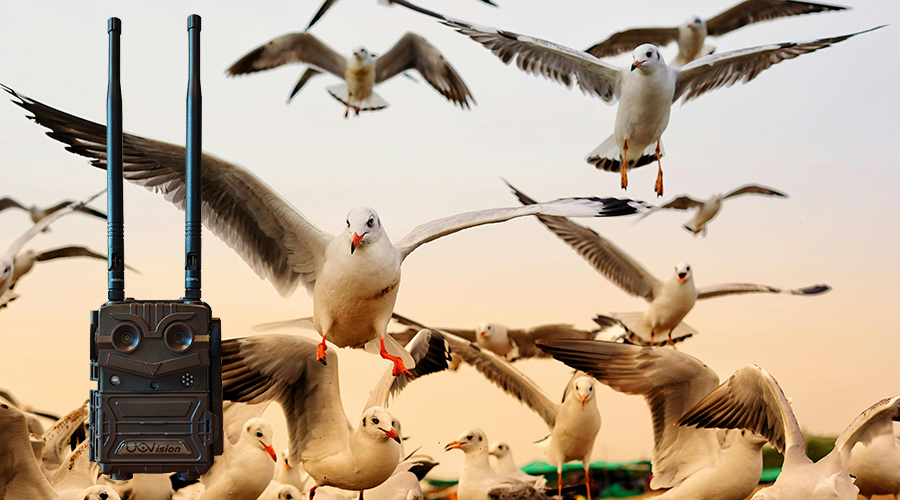 1741583839139271.jpg 11.jpg