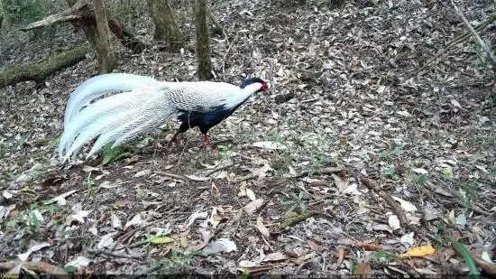 1742362489154068.png 2.png