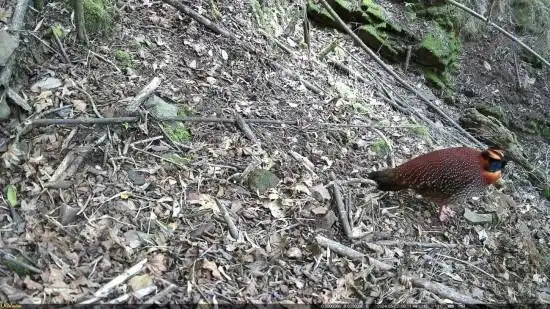 1742362506419990.png 4.png