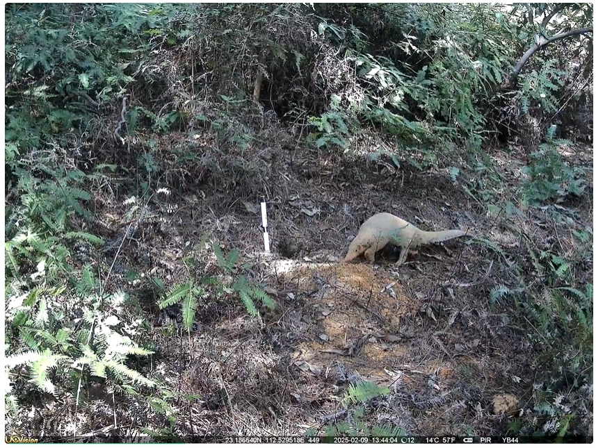 1745311891865097.png 微信截圖_20250422160249.png