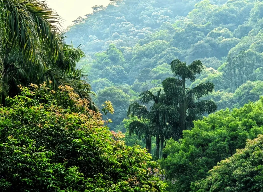 1745311935592200.png 微信截圖_20250422160531.png