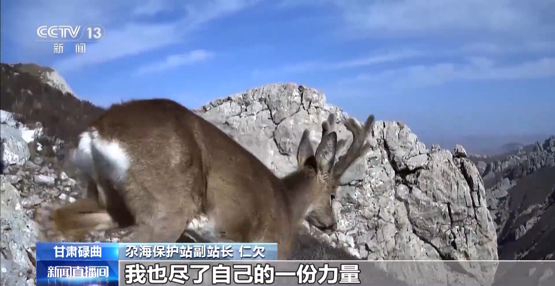 1748410149616263.png 13.png