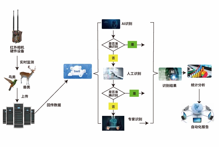 1749623462549801.png 3.png