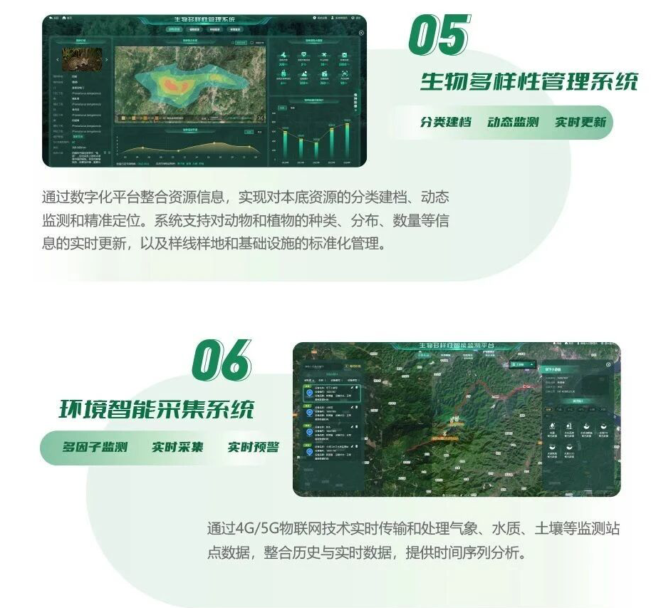 1756966088885368.png 3.png