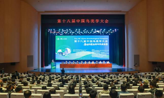 1761726185832385.png 1.png